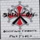 "Shine on" Occitania tribute to Pink Floyd