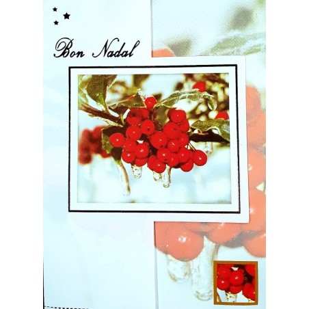 carte Bon Nadal (Joyeux Noël en occitan)