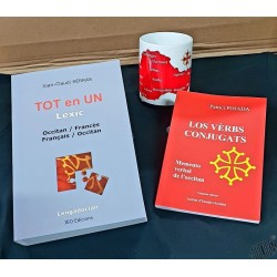 Lot dictionnaire Tot en Un + Los Vèrbs conjugats + Mug Carte