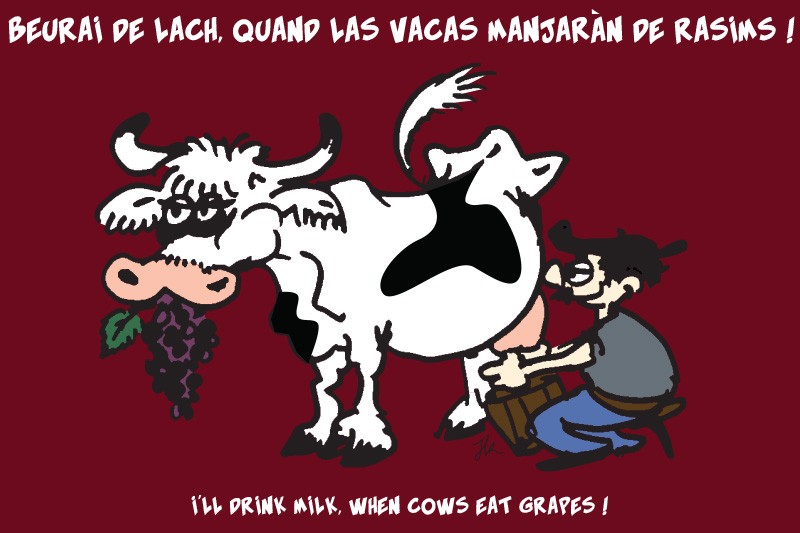 lot 10 cartes humour occitan Beurai de lach
