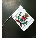 Lot 10 drapeaux Nice mât PVC