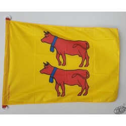 Drapeau béarnais - Biarn toustem - drapèl bearnés - drapeau vaches Béarnaise